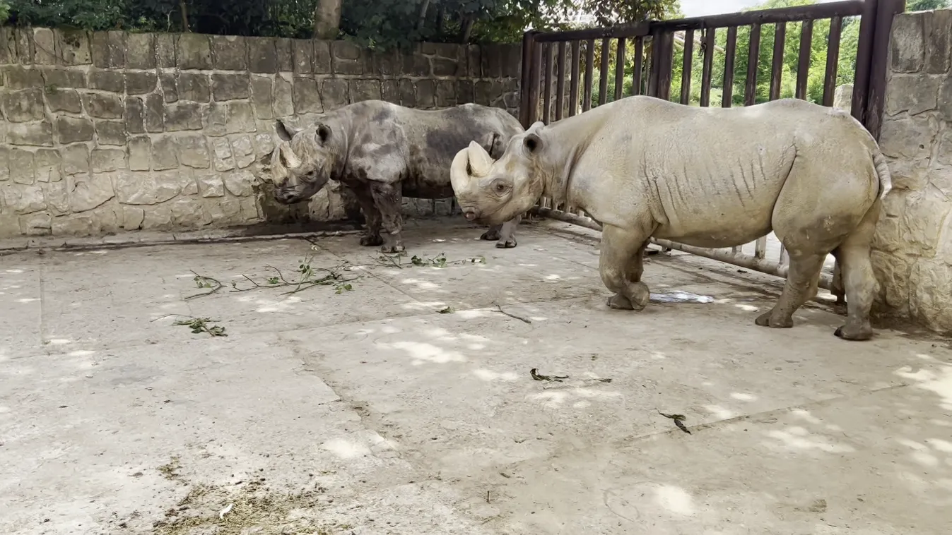 Radar - Szafariélmény Csehországban + videó
