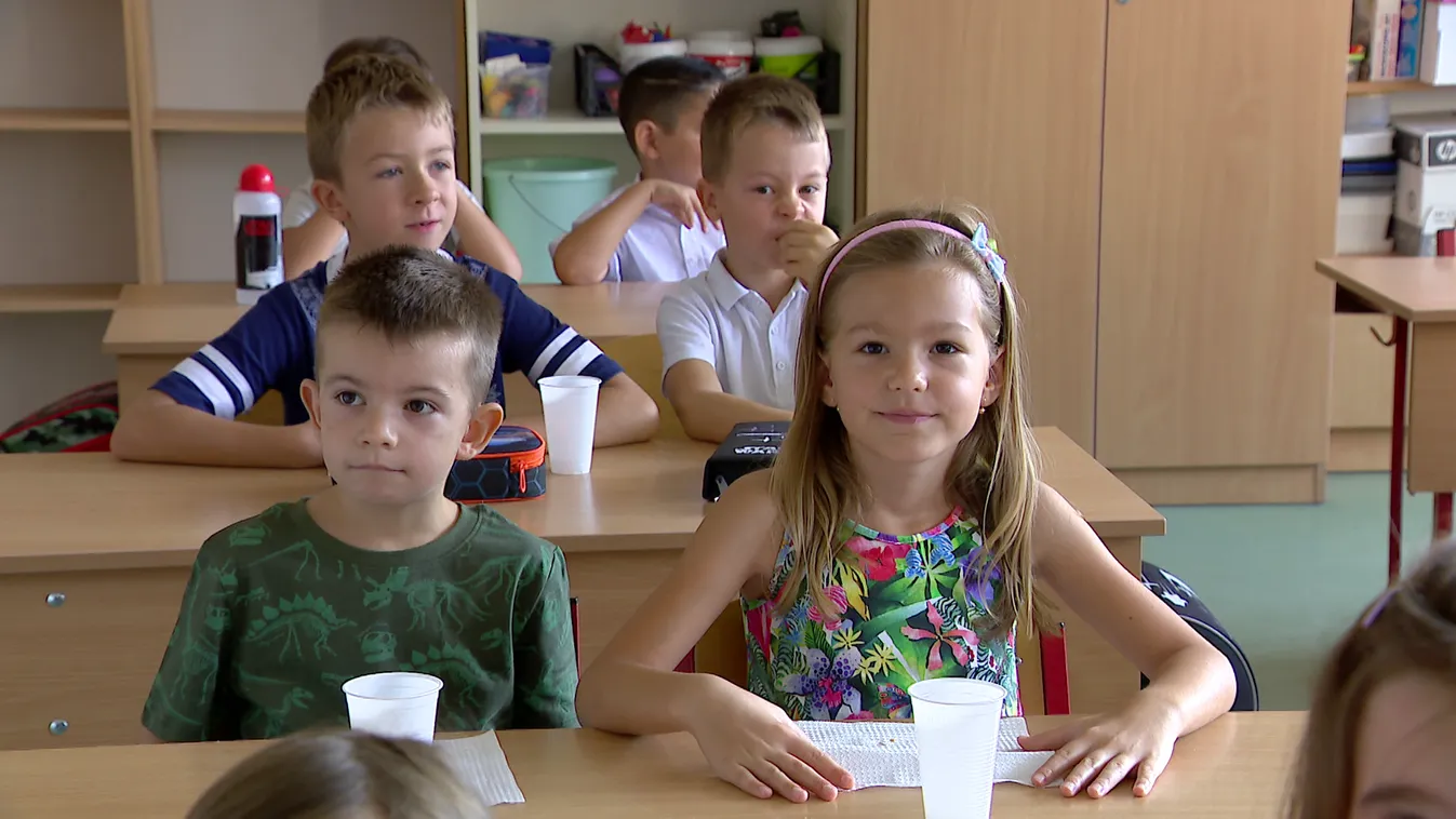 A Momentum elnöke szerint nem kell erkölcstan