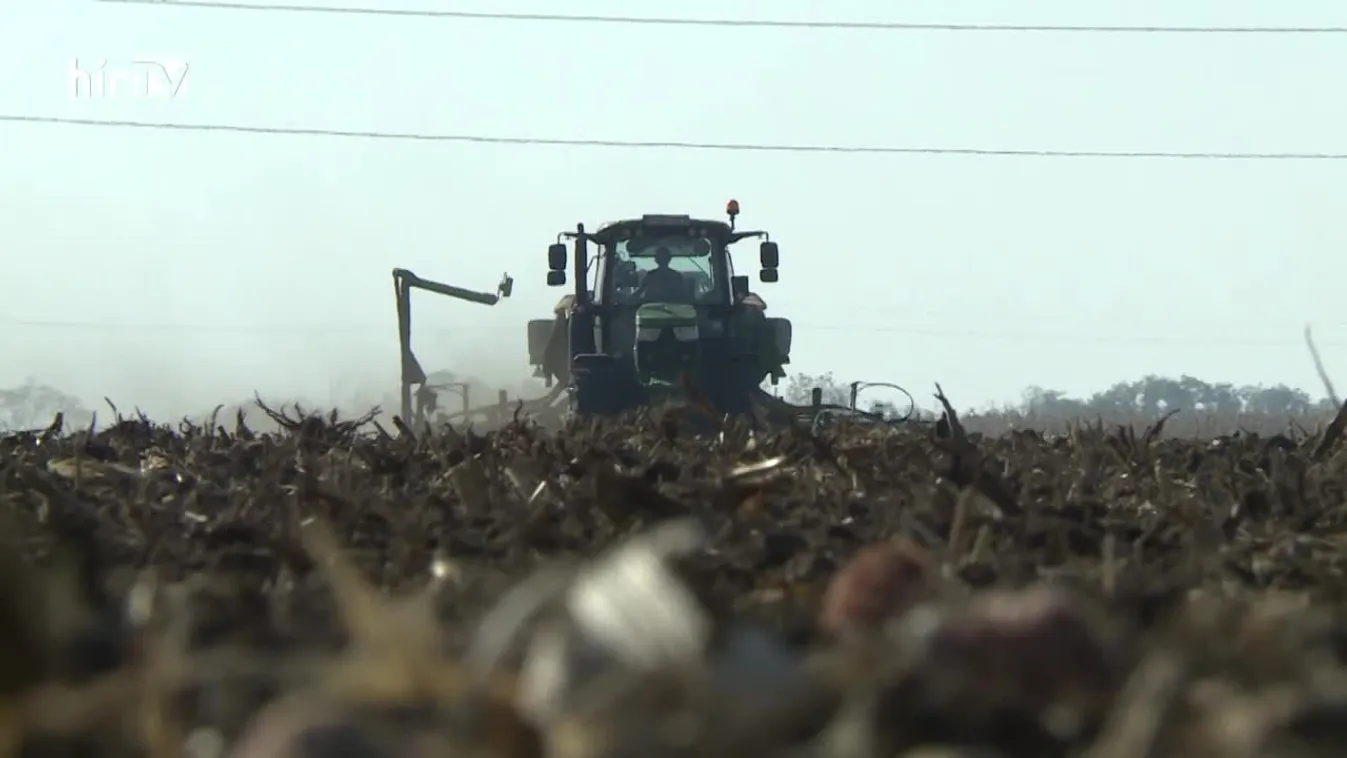 Soroló: Megkezdődött a vetés