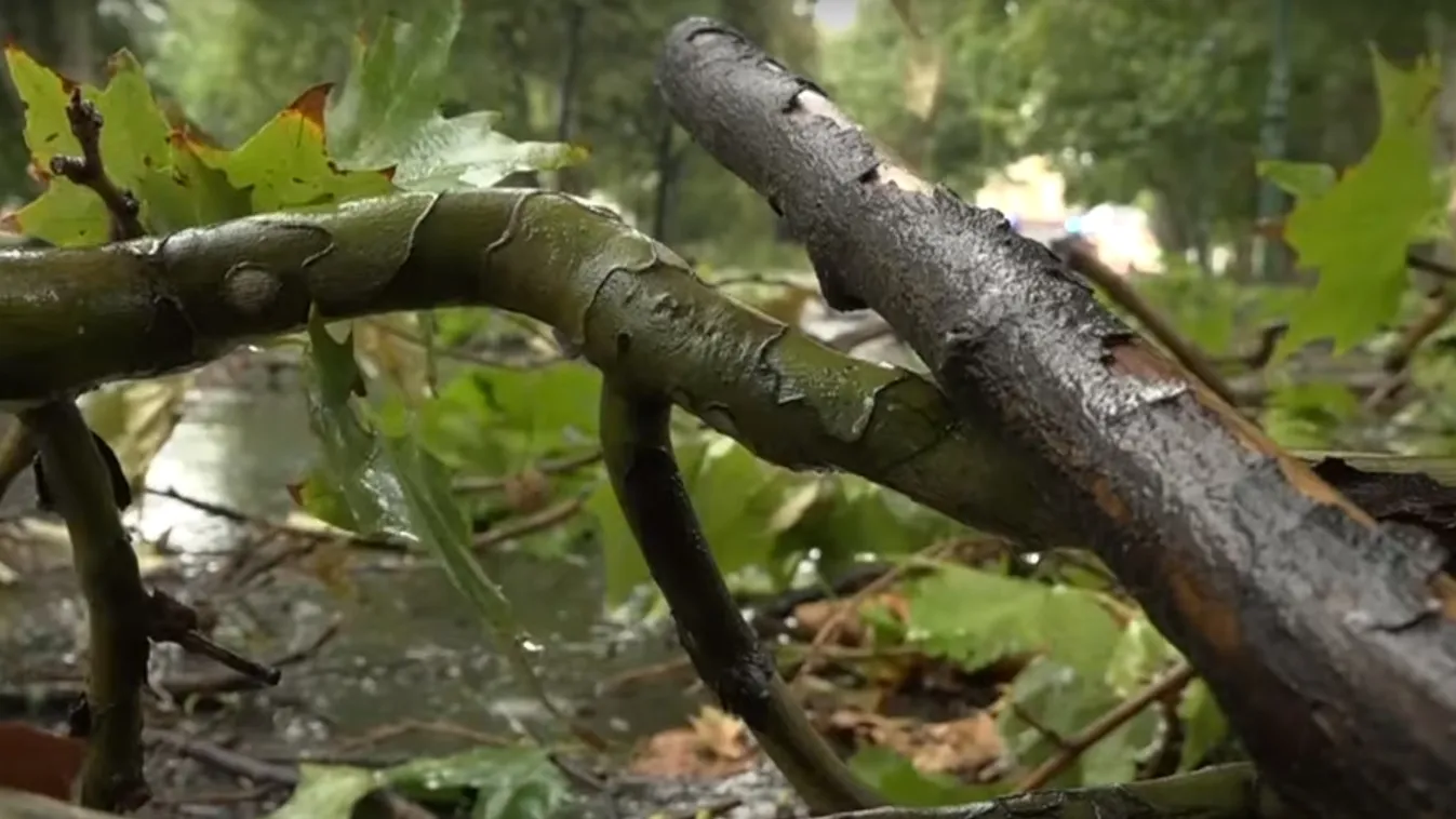 Pest vármegyében pincéket, garázsokat, aluljárókat árasztott el a nagy mennyiségű esővíz
