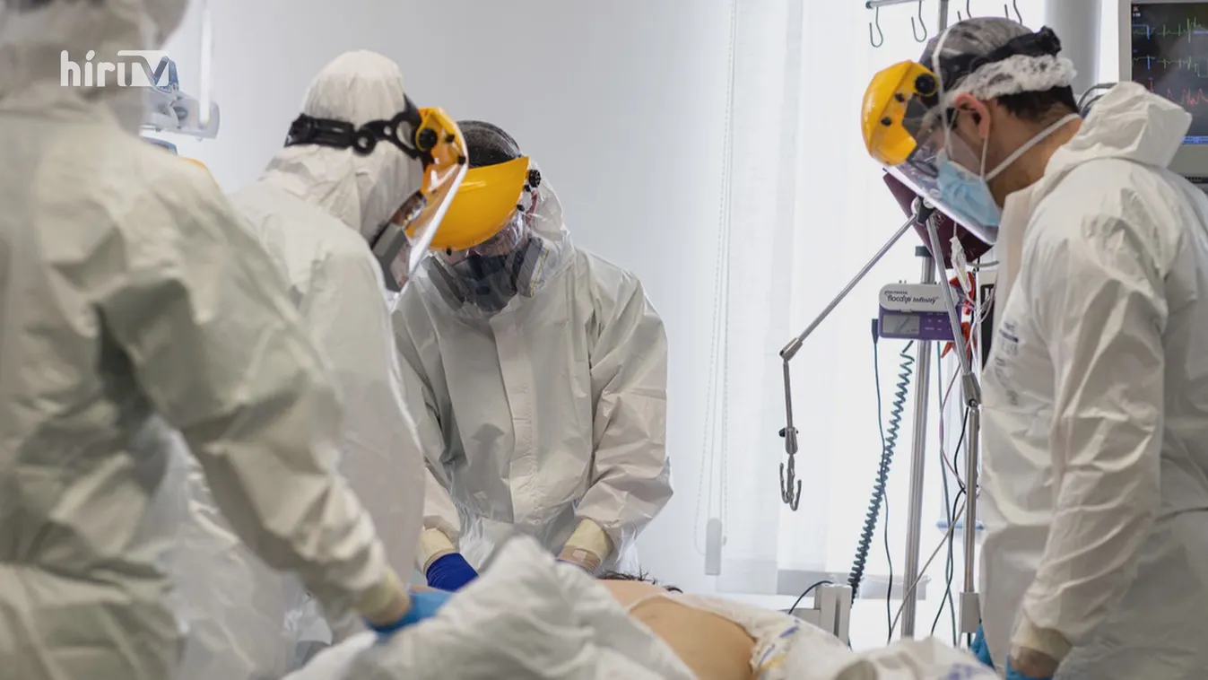 Falus András: Nagyjából egy év múlva fogjuk tudni, hogy mennyi ideig van védettségünk