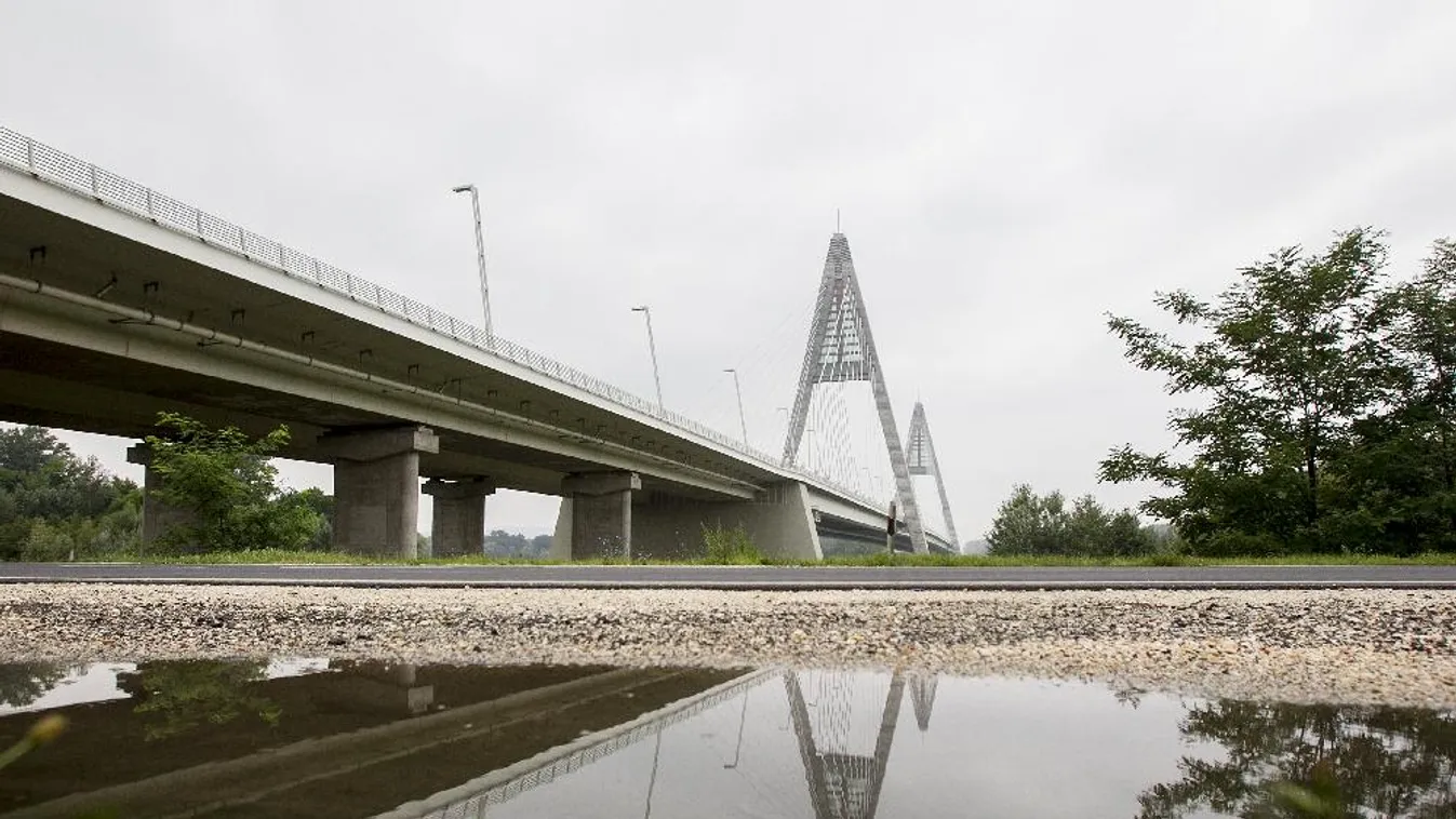 A Megyeri hídnál akcióztak a természetvédők