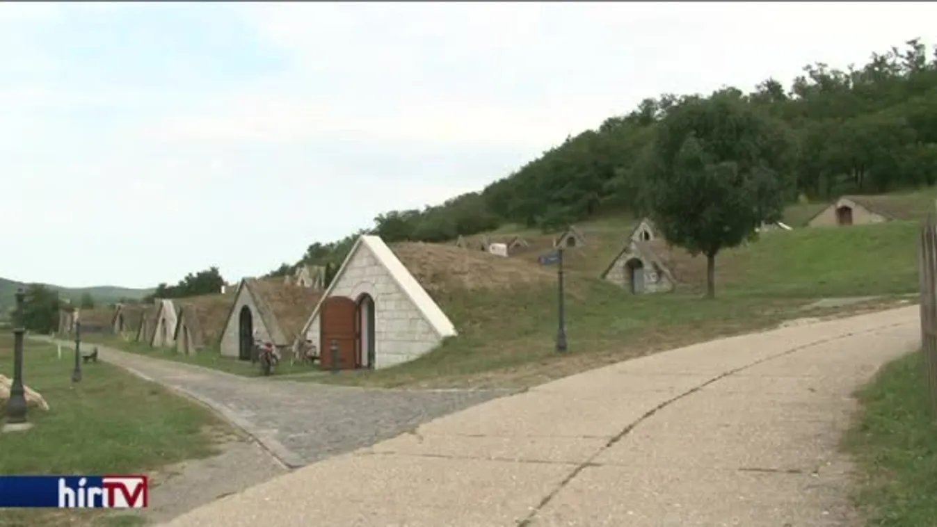 Uniós forrás nélkül is megállná a helyét a tokaji borvidék