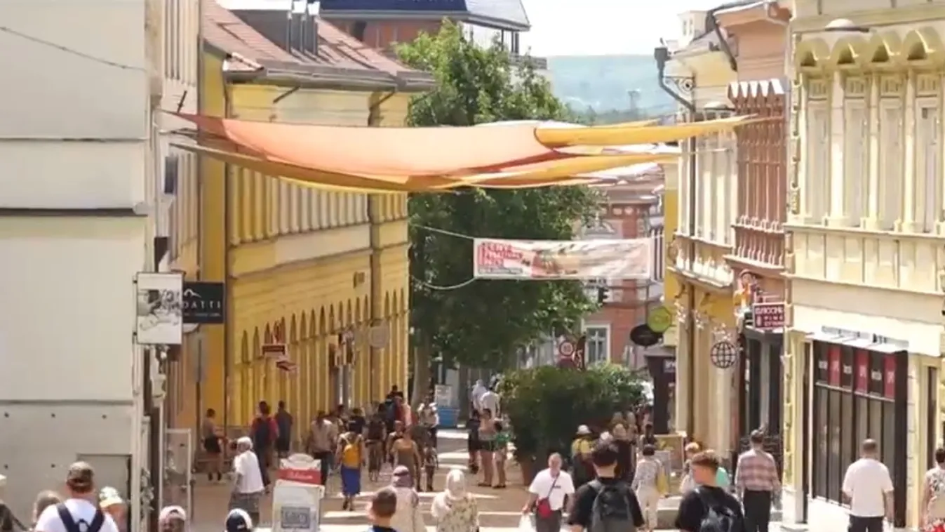 Fokozott figyelemmel érdemes itatni közterületen a házikedvenceket + videó