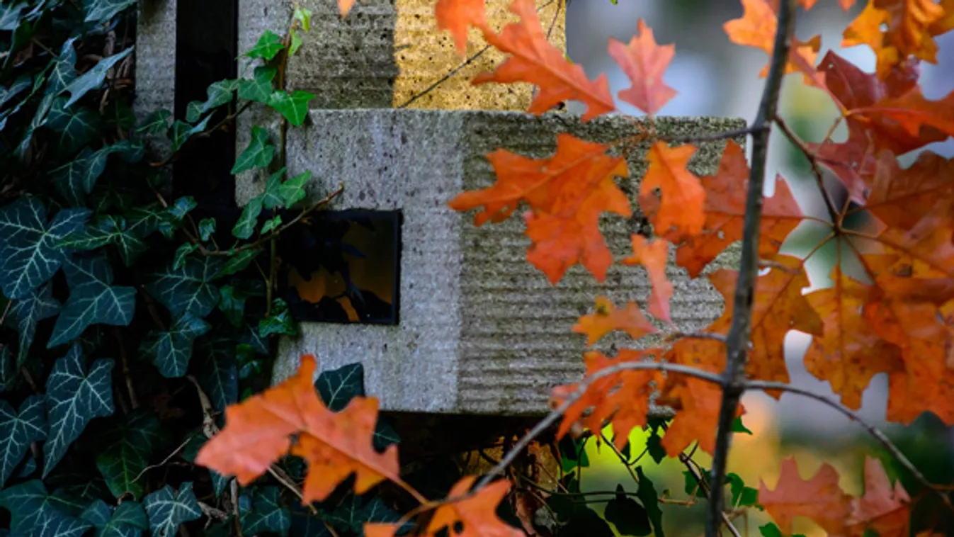 Menza – Panaszkönyv