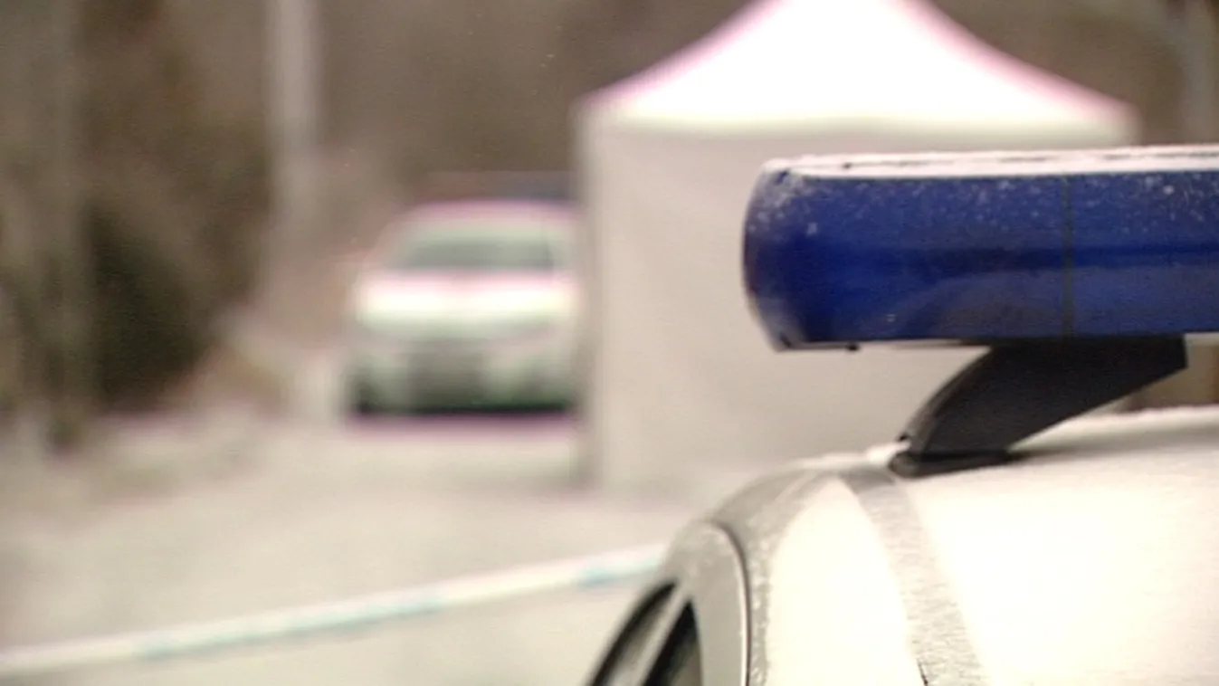 Összeverték az idős asszonyt, majd rágyújtották a házát