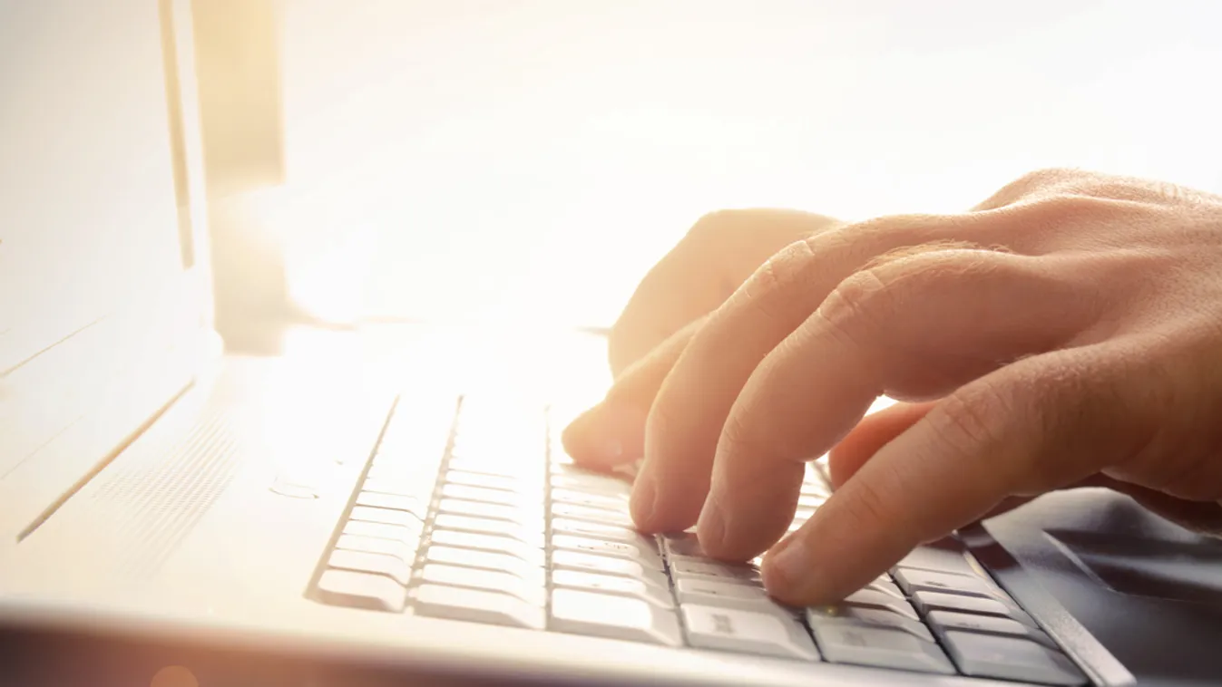 NAV: Online is lehet kérni a keresetkimutatást