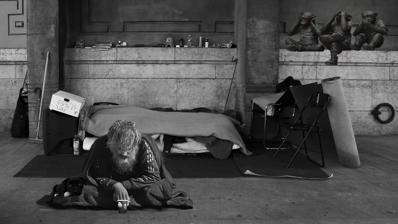 Ganze Scheiße (1. rész)