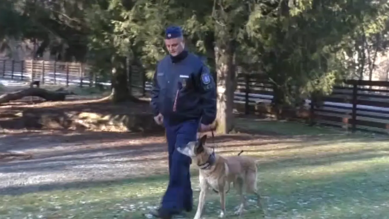 Radar - A legidősebb rendőrkutya + videó