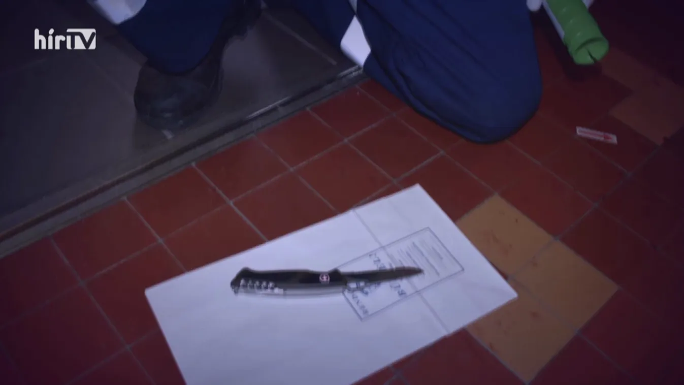 Riasztás: 15 évre is számíthat a győri késelő diák