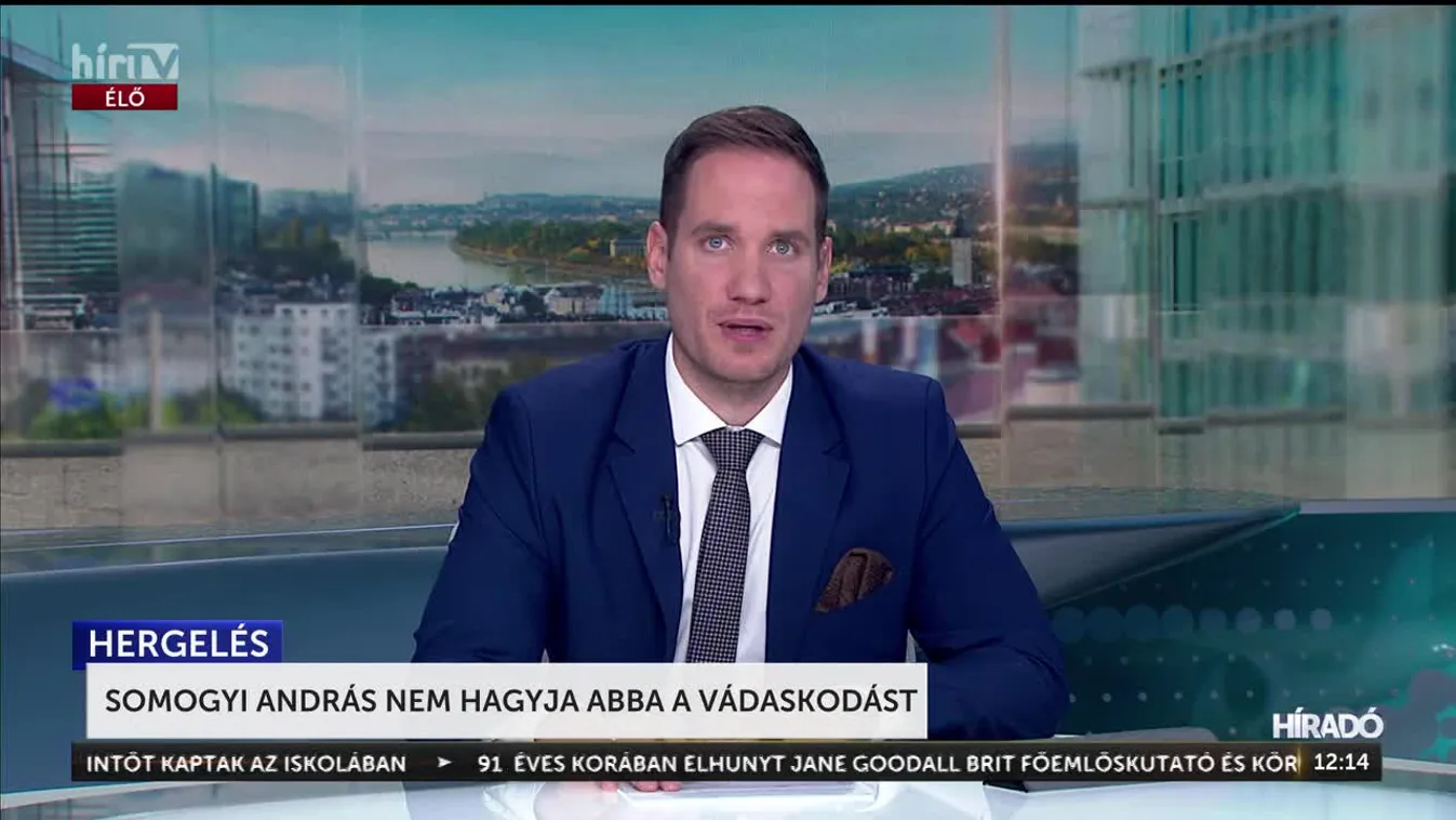 SOMOGYI ANDRÁS NEM HAGYJA ABBA A VÁDASKODÁST