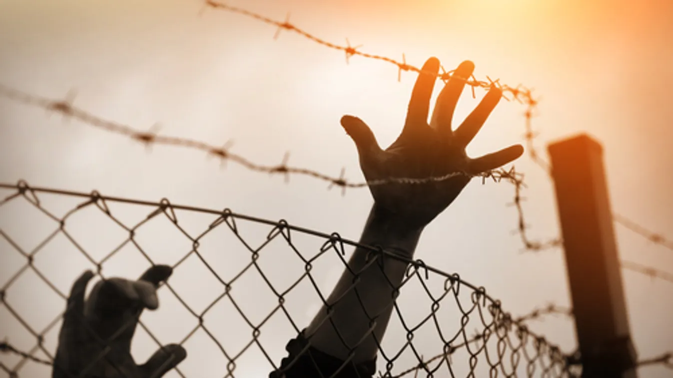 Több száz határsértőt tartóztattak fel a rendőrök