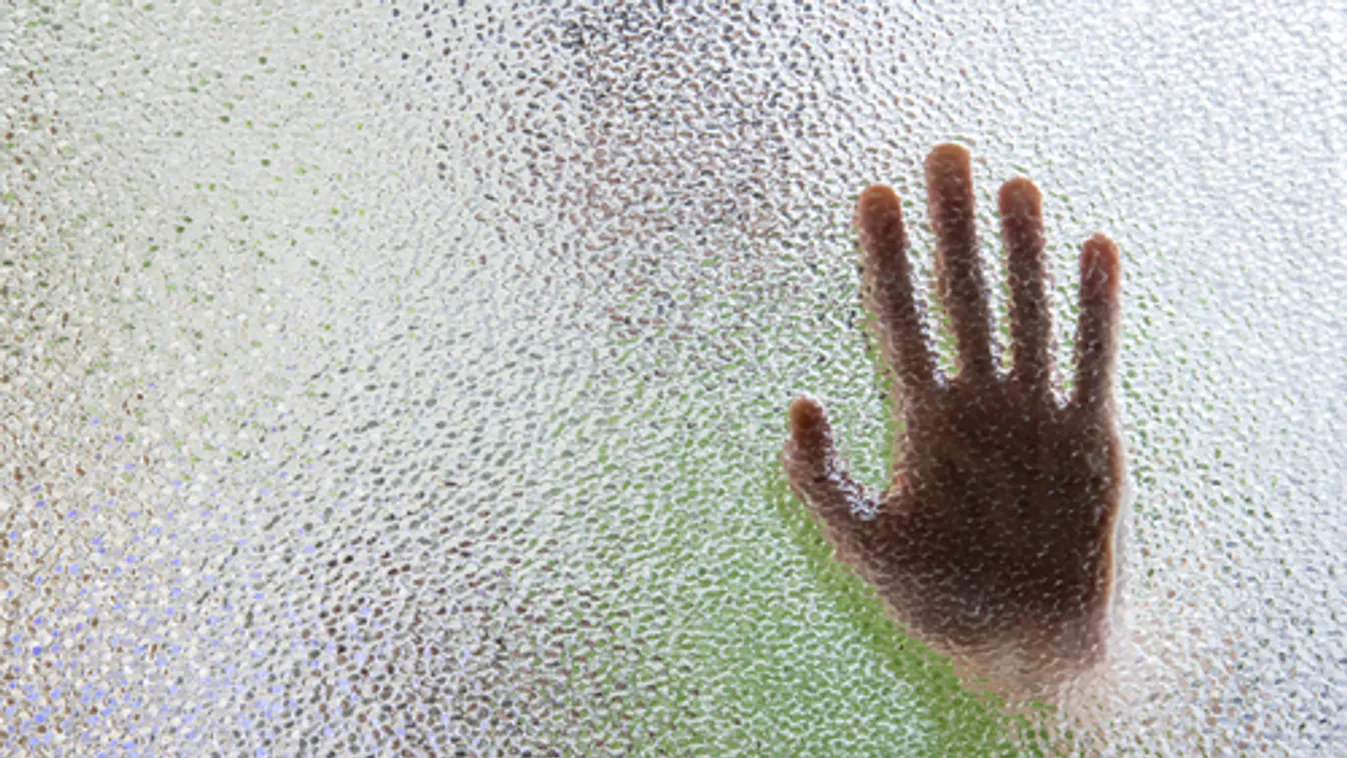 Önkéntes karantén