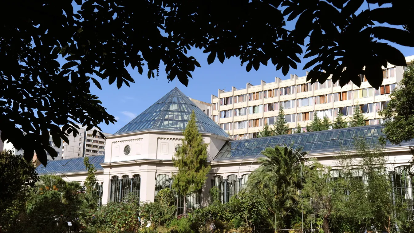 Egyszerre szabadtéri és online programot szervez az ELTE Füvészkert