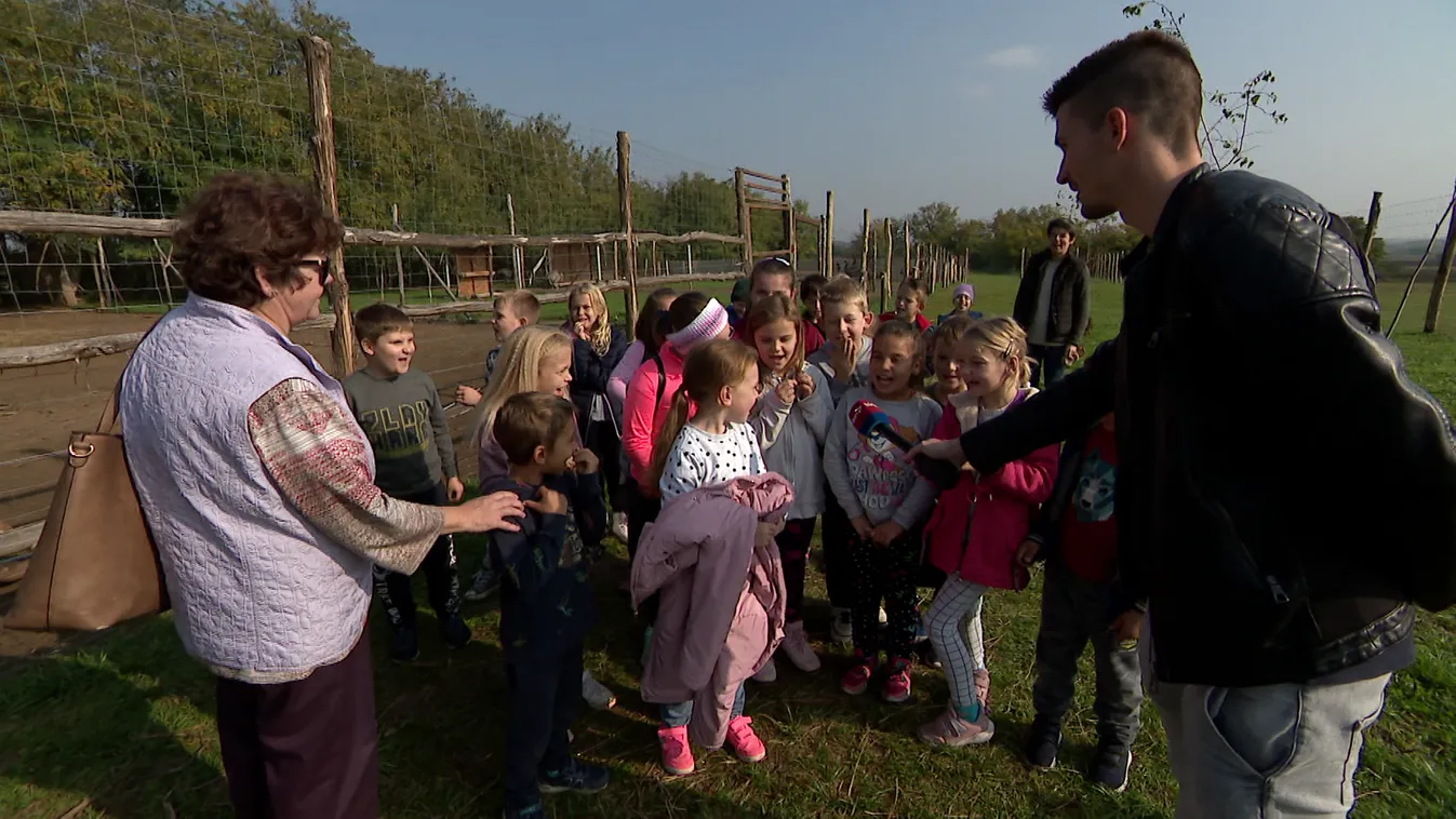 Radar: Fejér megye első állatkertje