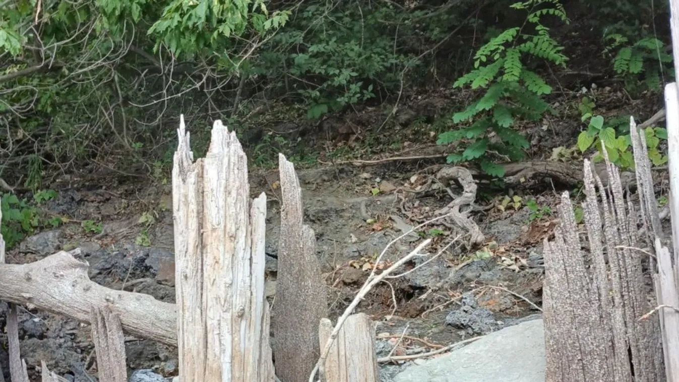 Káosz a Hajógyári-szigeten