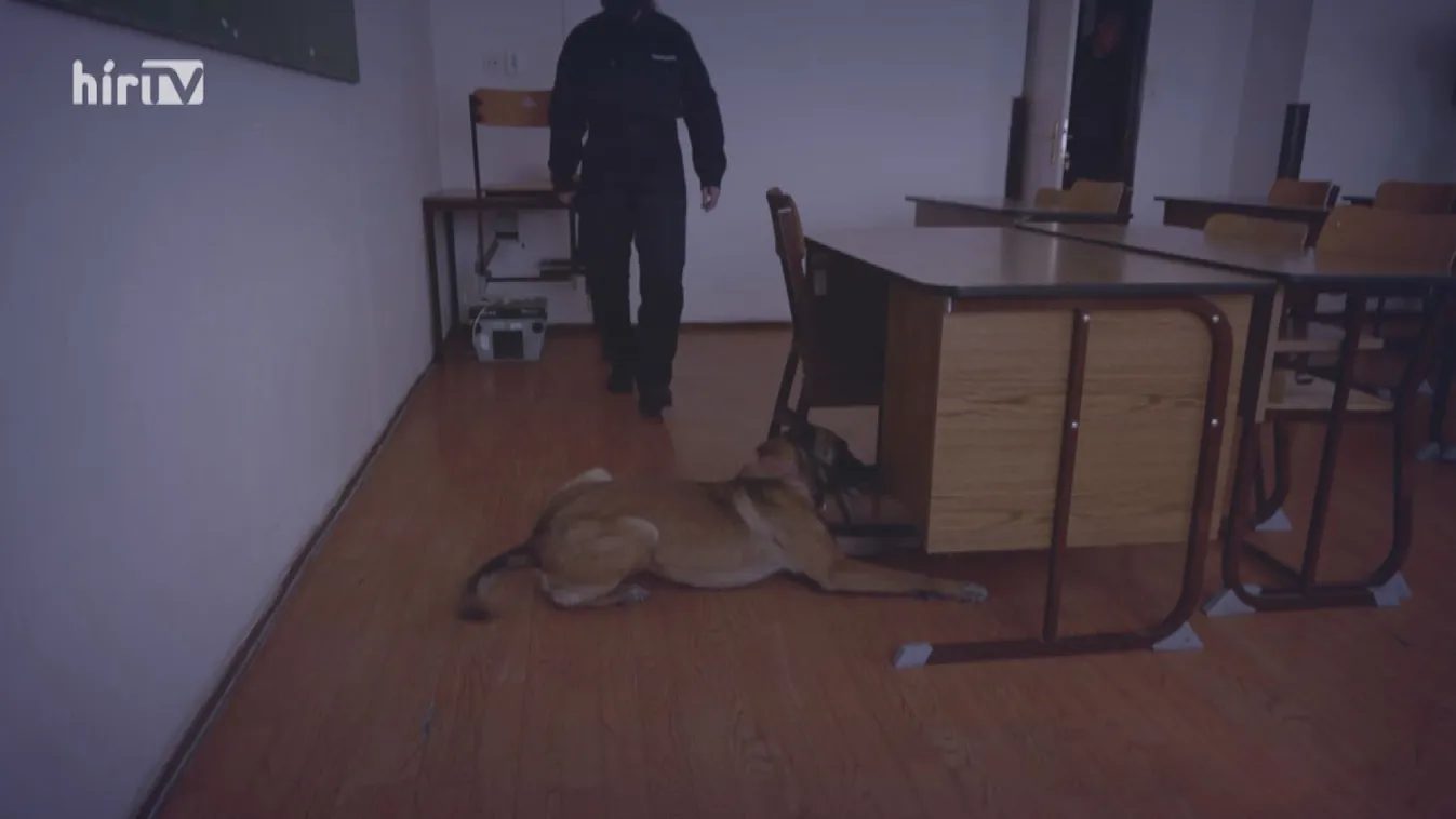 Riasztás: Tizenöt év után lezárhatják a szentesi gyilkossági aktát