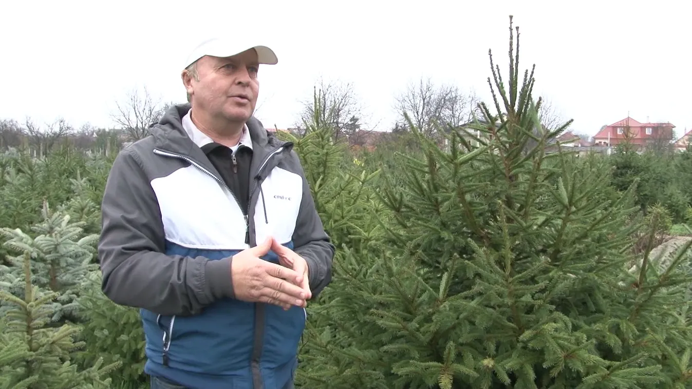 Radar - Előkészület a kertészetekben