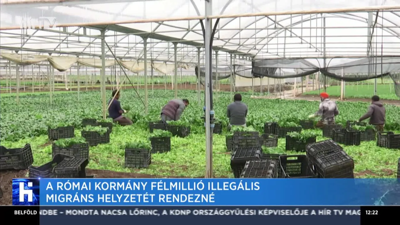 A római kormány félmillió illegális migráns helyzetét rendezné