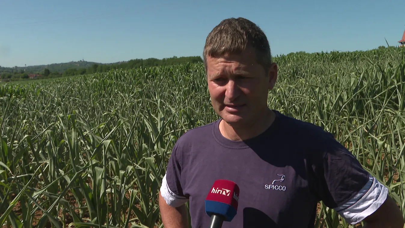 Ingyenes öntözővízzel segíti a kormány a gazdákat + videó