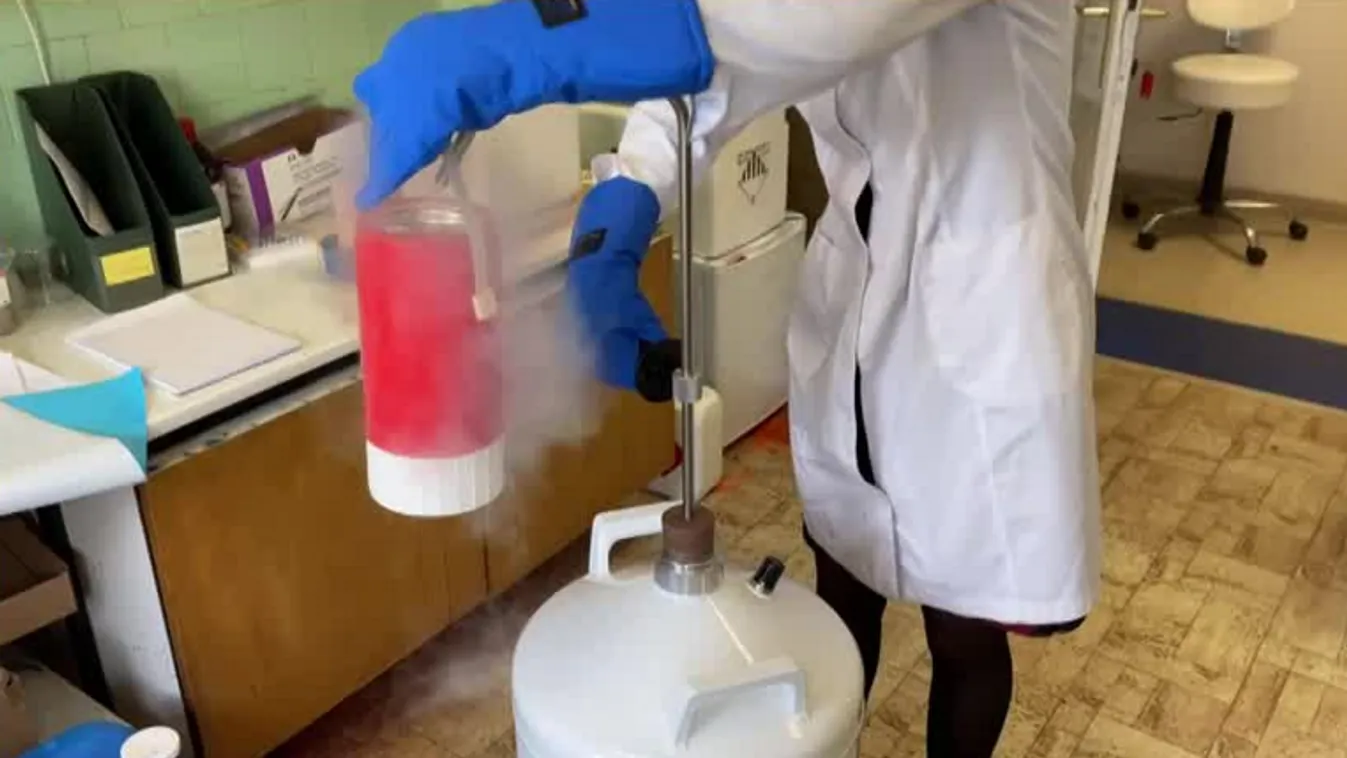 Napindító - Átütő siker a daganatelemzésben