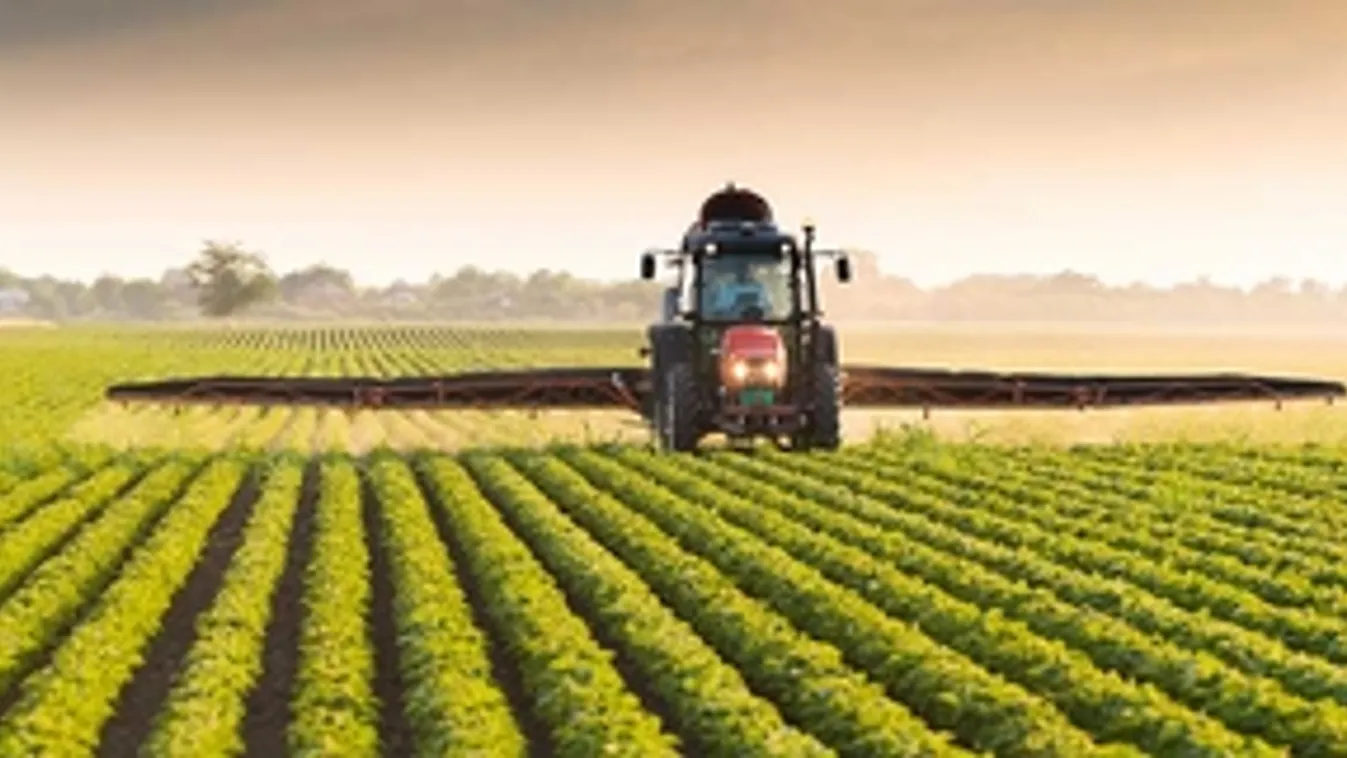 Európai Bizottság: Az uniós mezőgazdaság hatékonyan reagál és jól alkalmazkodik az új körülményekhez