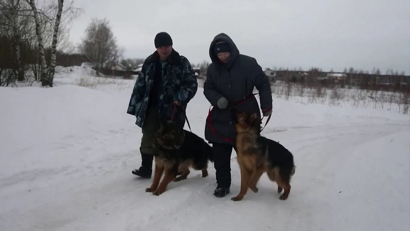 Radar - Kutyák a fronton