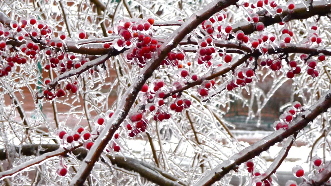 Figyelmeztetést adott ki a meteorológiai szolgálat vasárnapra