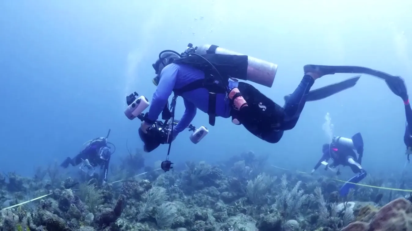 Radar - A korallzátonyok megmentése