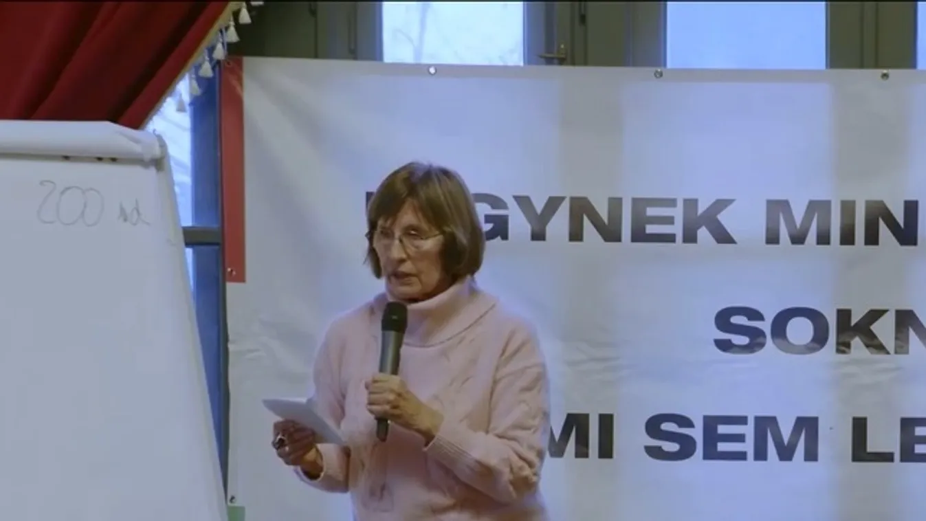 Az édesanyák adókedvezményét kritizálja Petschnig Mária Zita + videó