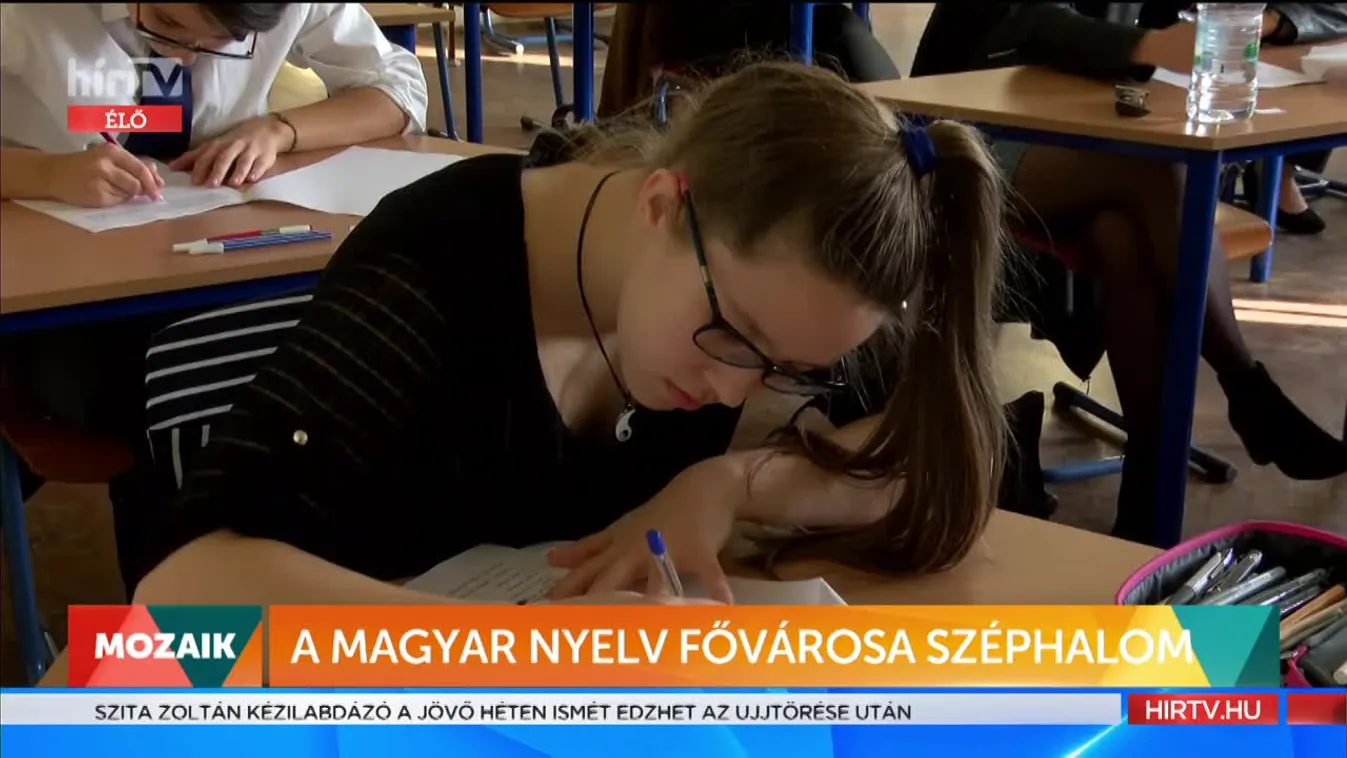 Mozaik: A magyar nyelv fővárosa Széphalom