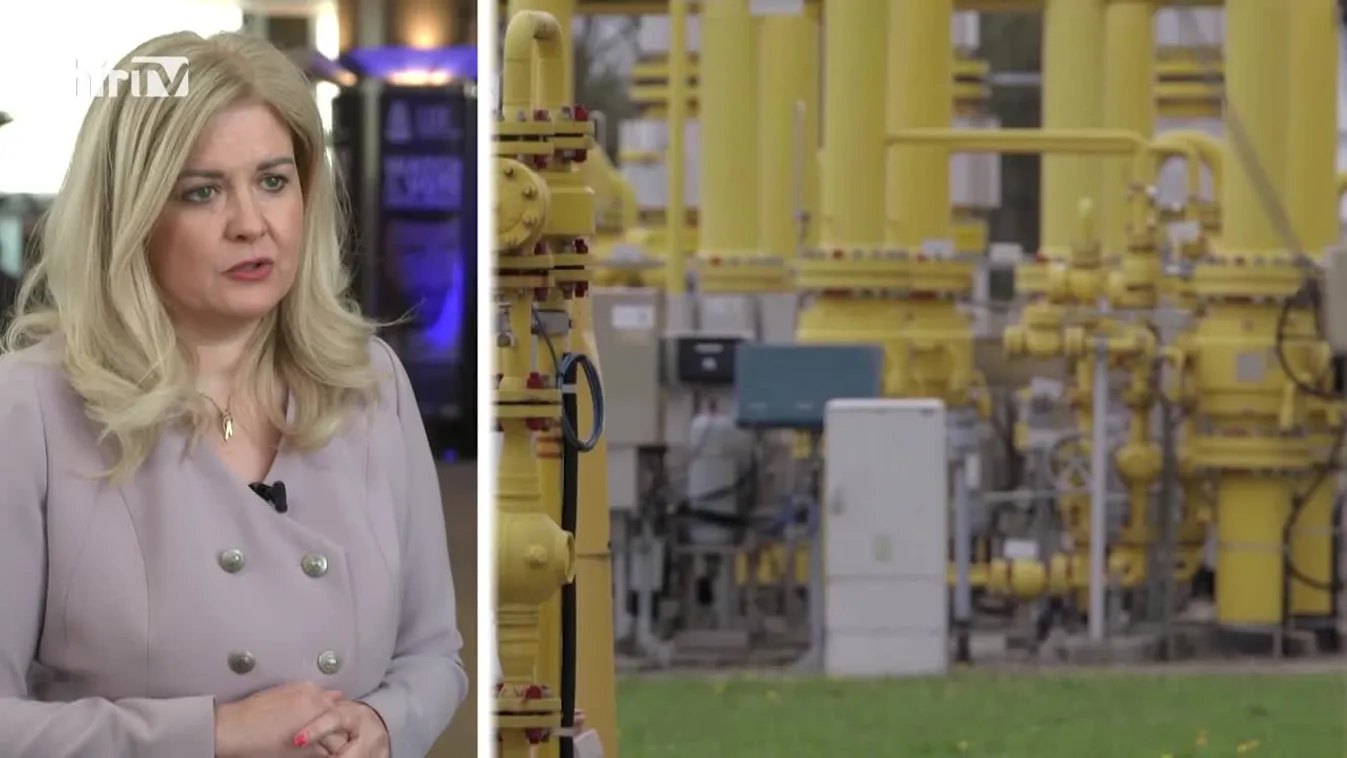 Európai híradó: életviteli tanácsadások Frans Timmermanstól