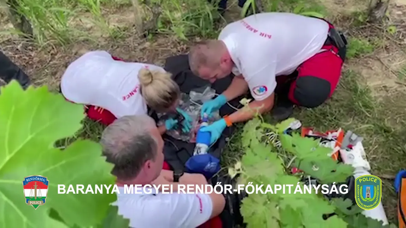 Megtaláltak egy magára hagyott újszülöttet, a baba életben van