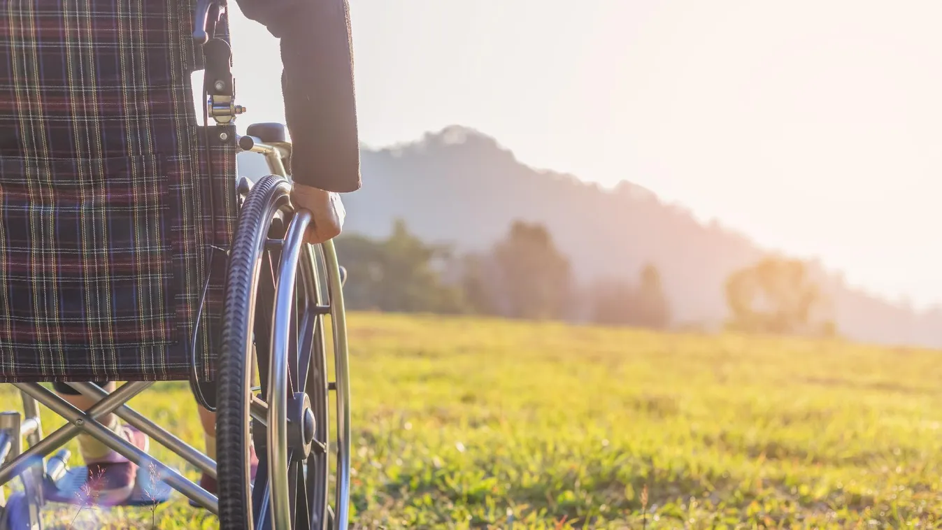 MEOSZ: A fogyatékossággal élő gyereket nevelő nők is részesüljenek szja-mentességben!