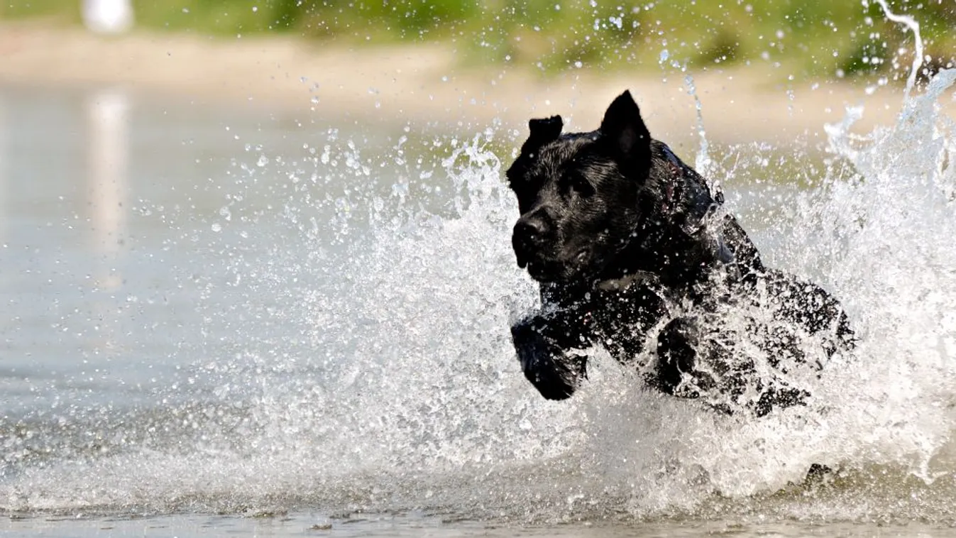 A hétvégén is folytatódik a kánikula