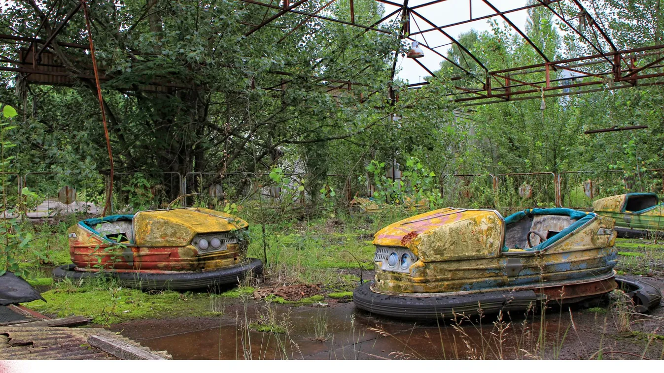 Valami egészen váratlan történt, miután az ember elhagyta Csernobilt