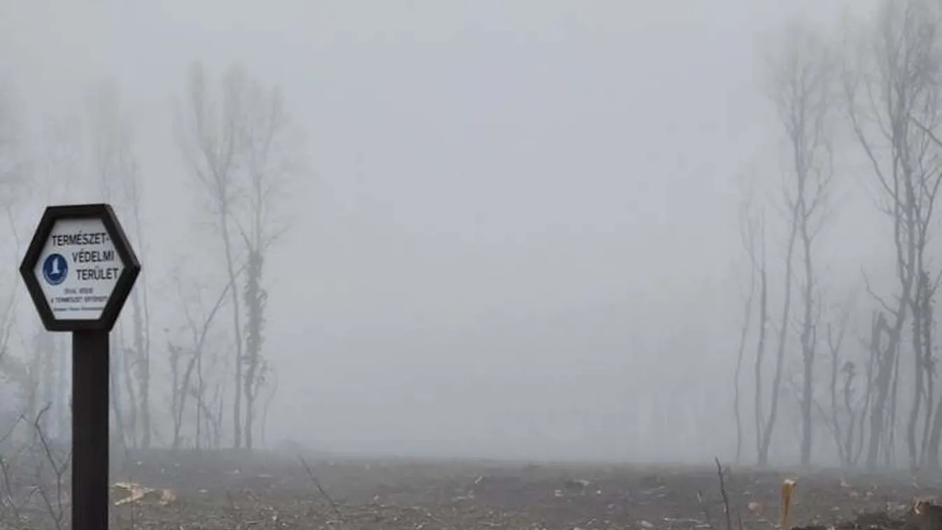 Zöldstratégia Karácsony módra: erdő helyett szeméthegyek