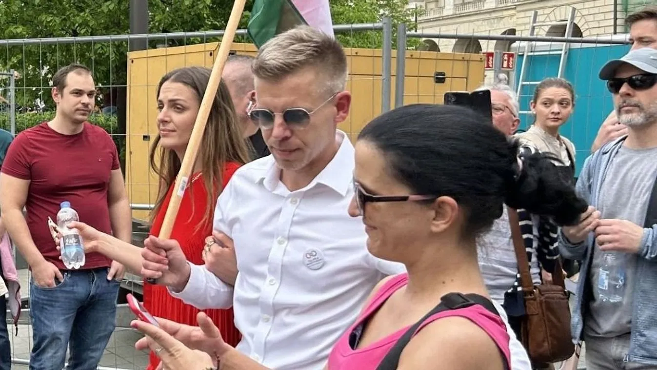 Szentesi Zöldi László: Számháború