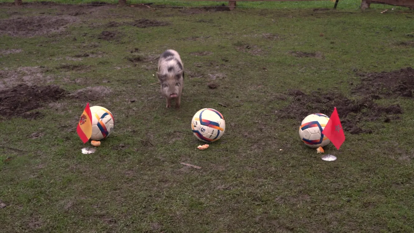 Radar - Marokkó elsüllyeszti-e a spanyol armadát?