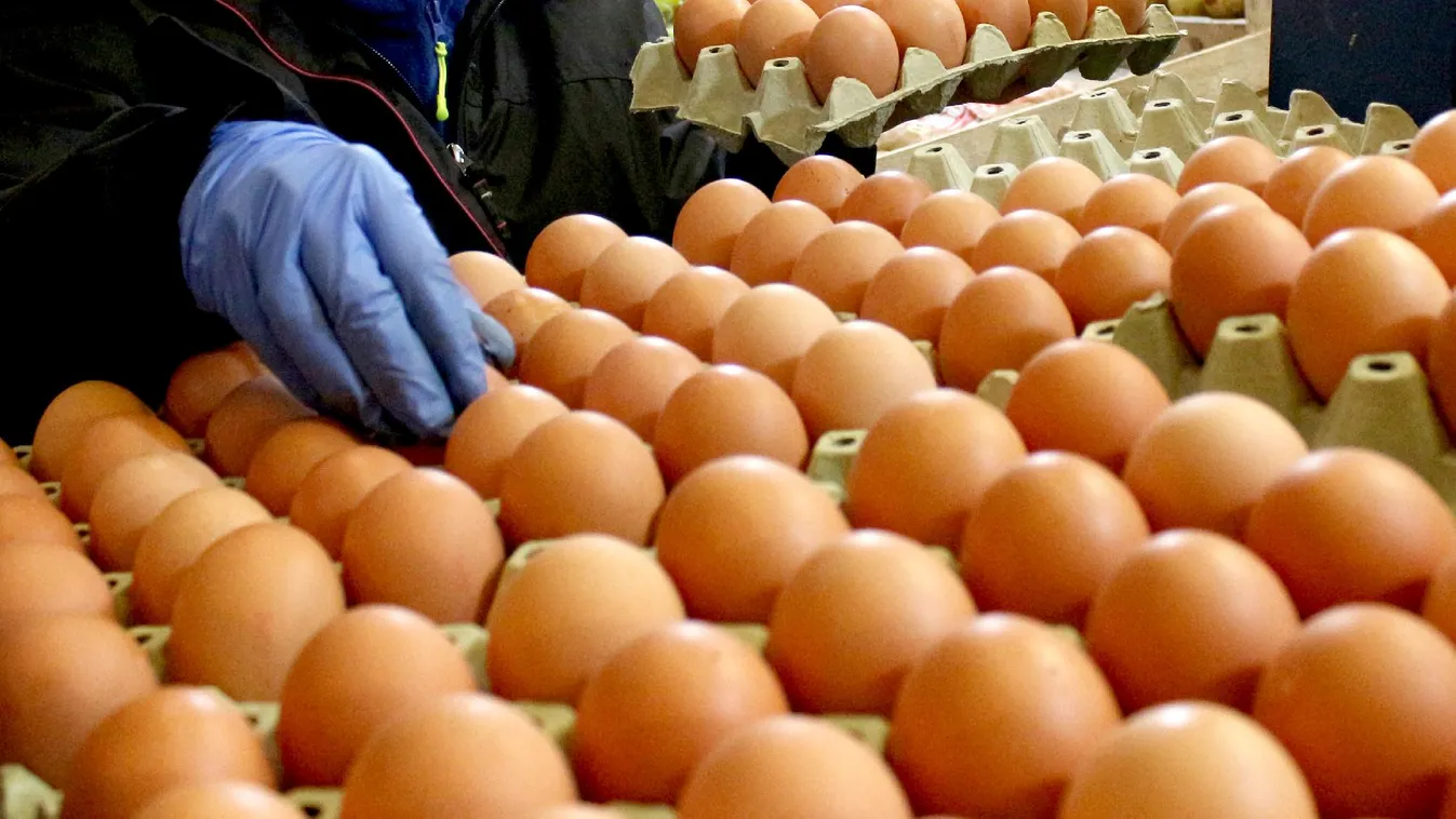 A piac egyik nagy szereplőjétől származik a szennyezett tojás