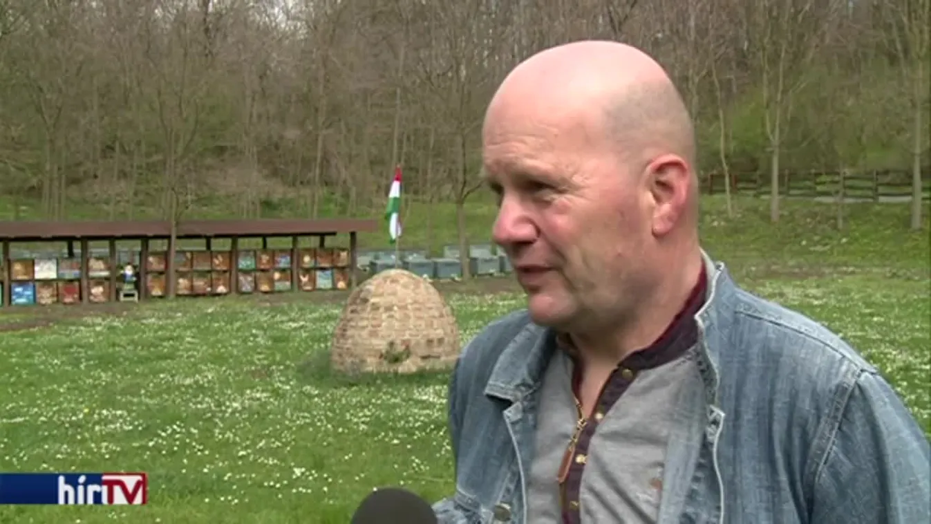 A batáta hazai karrierje