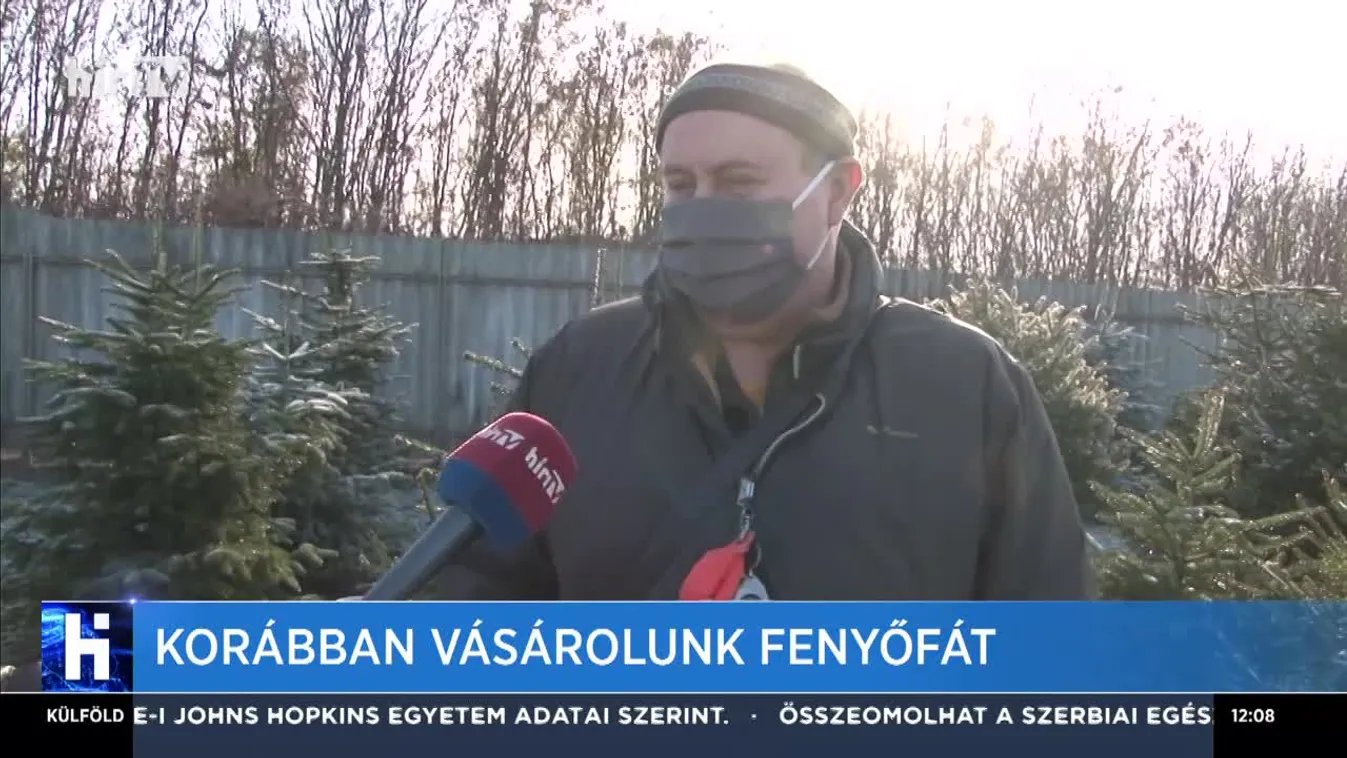 Korábban vásárolunk fenyőfát