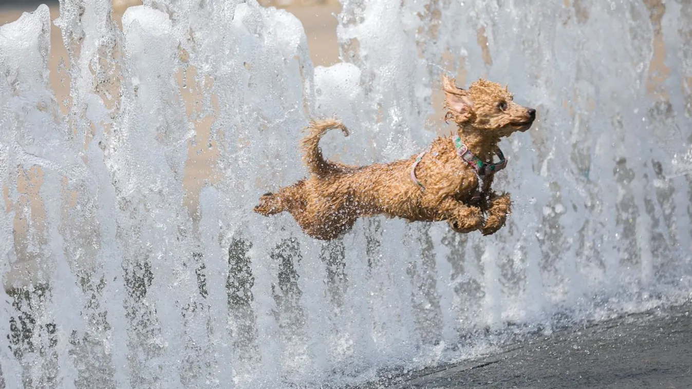 Az idei nyár legmagasabb hőmérsékletét mérték szombaton
