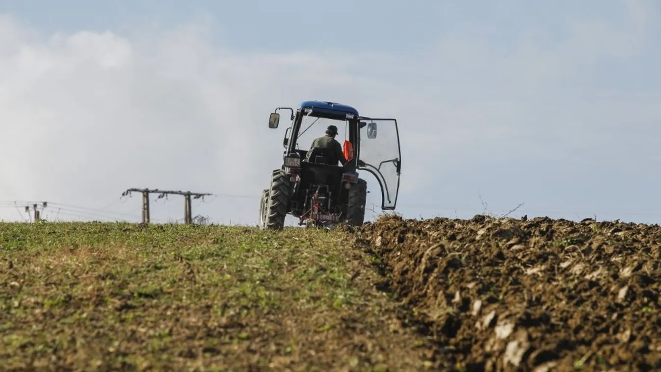 Az első licit – Soroló