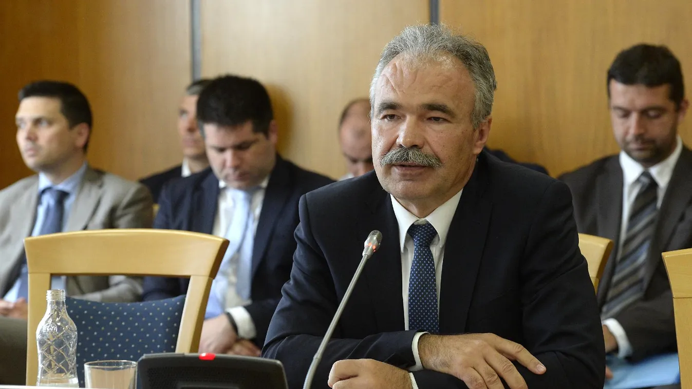 Az agrárminiszter-jelölt szerint egy migráns lehet a felelős a sertéspestisért