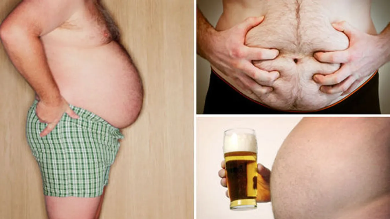 A nagy hasúaknak kisebb lehet az agyuk