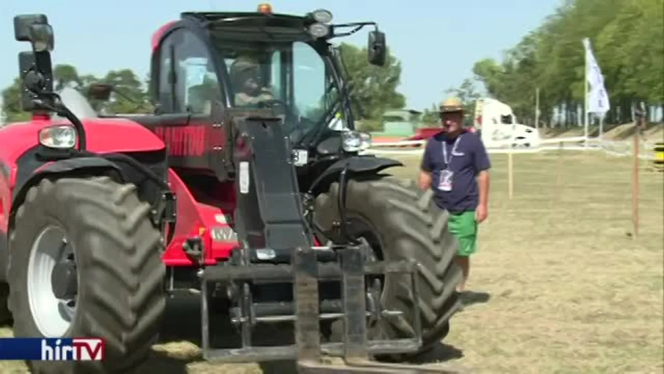Szüret a Nagykunsági borvidéken