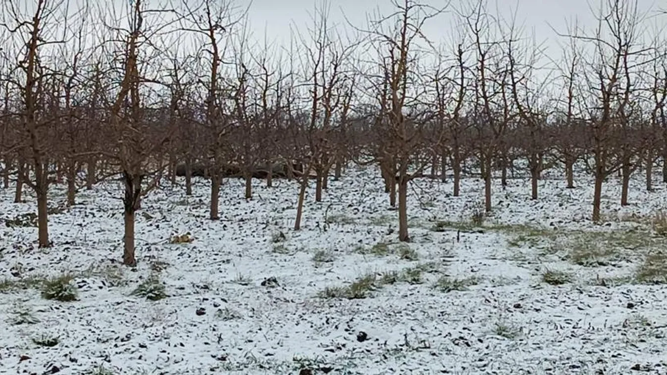 Becsapódott egy rakéta Moldova területén