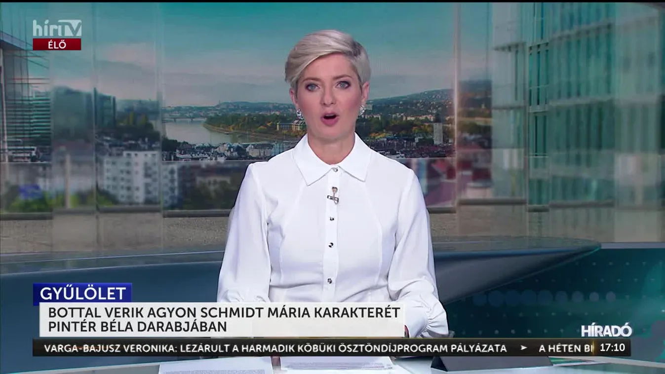 BOTTAL VERIK AGYON SCHMIDT MÁRIA KARAKTERÉT PINTÉR BÉLA DARABJÁBAN