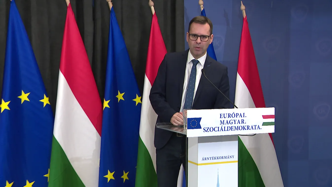 Molnár Csaba: Az újbudai önkormányzat azonnali vizsgálatot rendelt el + videó